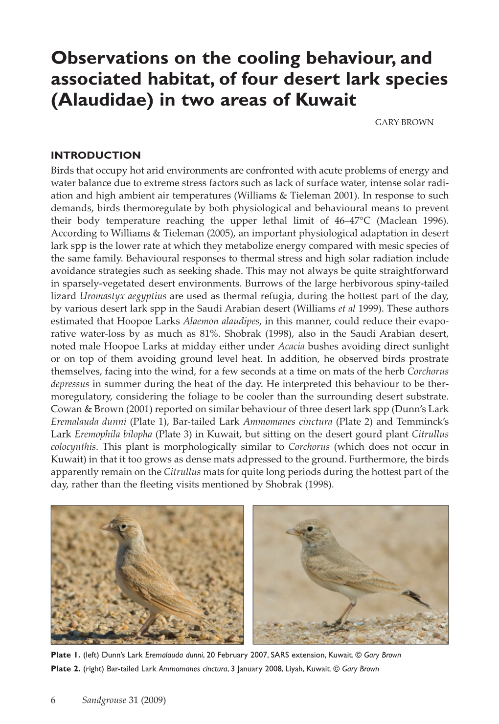 Observations on the Cooling Behaviour, and Associated Habitat, of Four Desert Lark Species (Alaudidae) in Two Areas of Kuwait