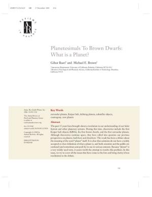 Planetesimals to Brown Dwarfs: What Is a Planet?
