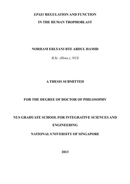 Nus a Thesis Submitted