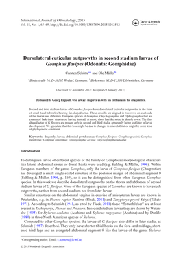 Dorsolateral Cuticular Outgrowths in Second Stadium Larvae of Gomphus ﬂavipes (Odonata: Gomphidae)