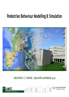 Pedestrian Behaviour Modelling & Simulation