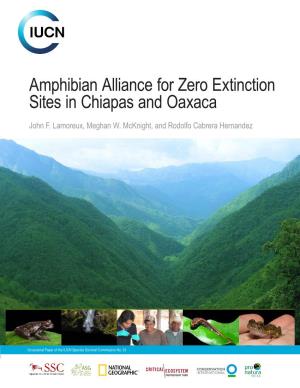 Amphibian Alliance for Zero Extinction Sites in Chiapas and Oaxaca
