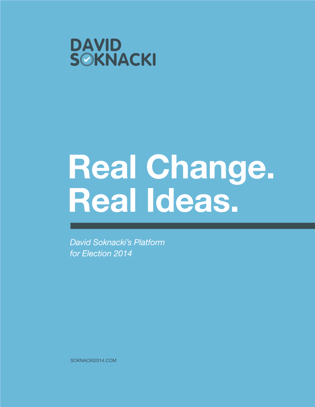 David Soknacki's Platform for Election 2014