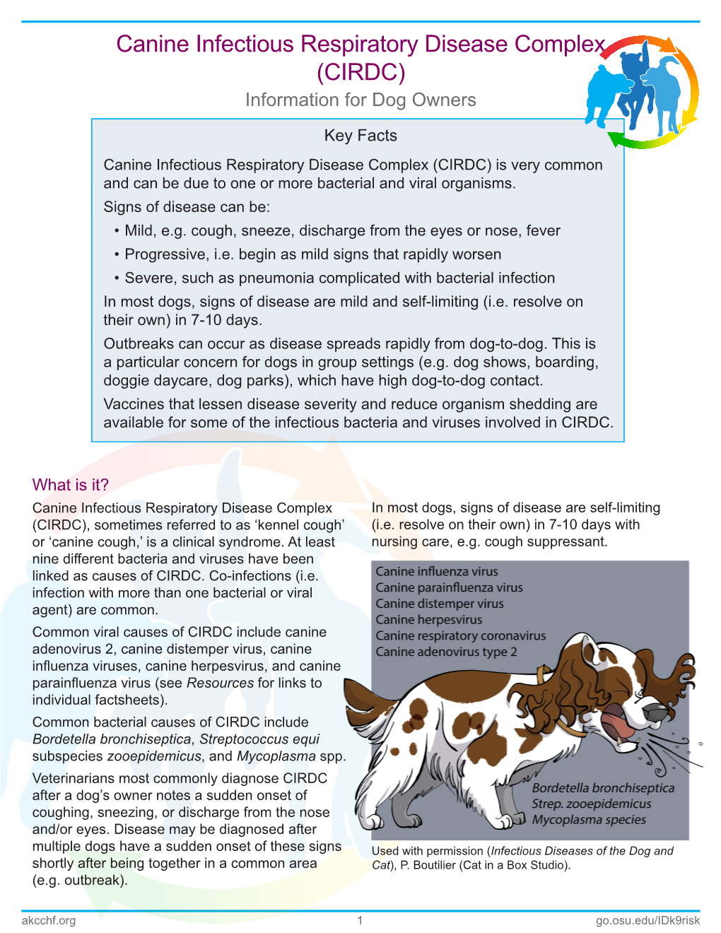 Canine Infectious Respiratory Disease Complex (CIRDC) Information for Dog Owners