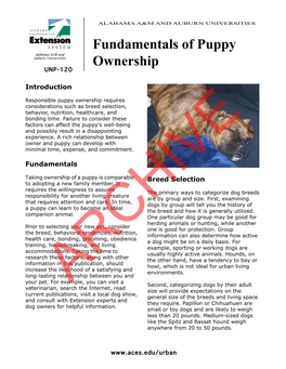 Fundamentals of Puppy Ownership UNP-120