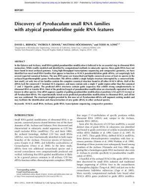Discovery of Pyrobaculum Small RNA Families with Atypical Pseudouridine Guide RNA Features