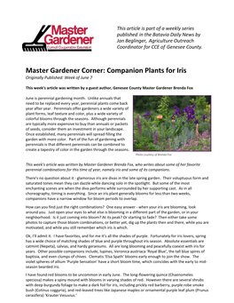 Master Gardener Corner: Companion Plants for Iris Originally Published: Week of June 7