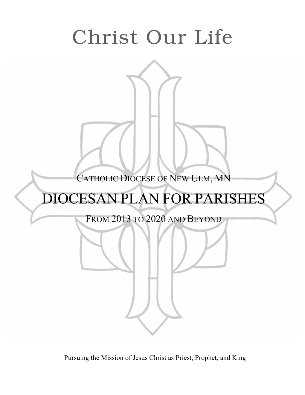 Diocesan Plan for Parishes