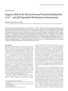 Negative Shift in the Glycine Reversal Potential Mediated by Aca2ϩ- and Ph-Dependent Mechanism in Interneurons