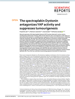 The Spectraplakin Dystonin Antagonizes YAP Activity and Suppresses Tumourigenesis Praachi B