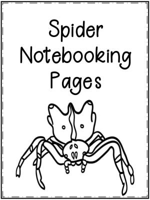 Spider Notebooking Pages Bw