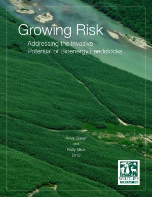 Growing Risk: Addressing the Invasive Potential of Bioenergy Feedstocks 1 Growing Risk Addressing the Invasive Potential of Bioenergy Feedstocks