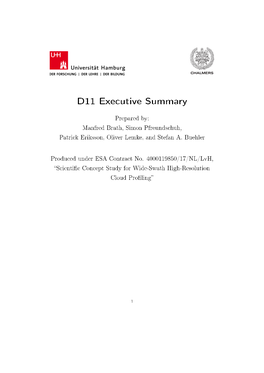D11 Executive Summary