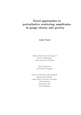 Novel Approaches to Perturbative Scattering Amplitudes in Gauge Theory and Gravity