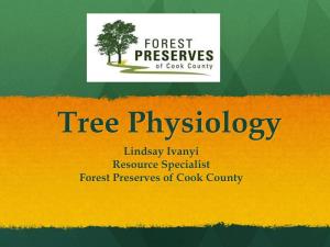 Tree Physiology Lindsay Ivanyi Resource Specialist Forest Preserves of Cook County What Is a Tree?