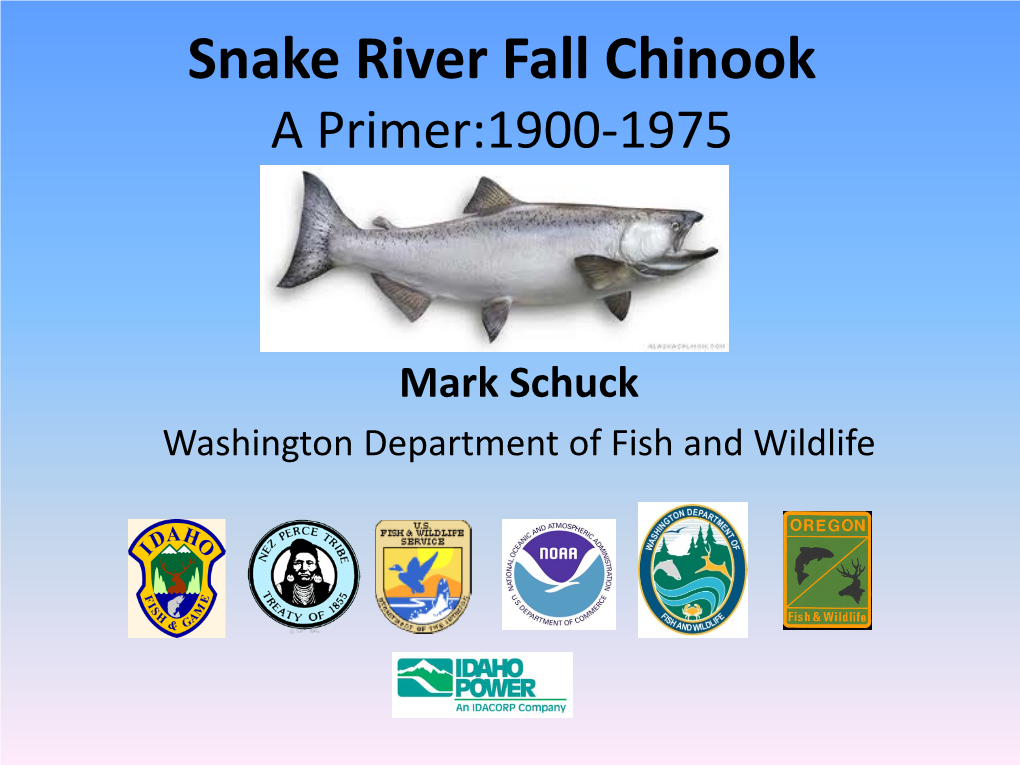 Snake River Fall Chinook a Primer:1900-1975