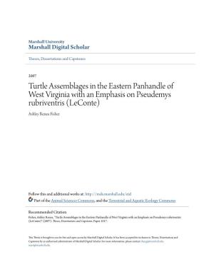 Turtle Assemblages in the Eastern Panhandle of West Virginia with an Emphasis on Pseudemys Rubriventris (Leconte) Ashley Renea Fisher