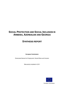 Synthesis Report Spsisc