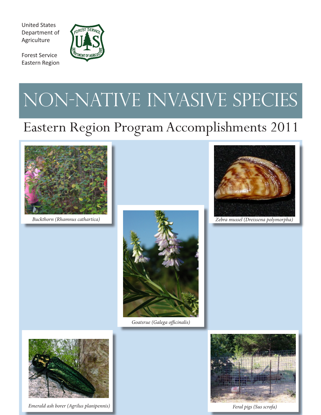 Non-Native Invasive Species: Eastern Region Program Accomplishments 2011 Cover Page