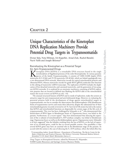 Unique Characteristics of the Kinetoplast DNA Replication