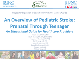 An Overview of Pediatric Stroke