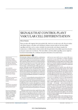 Signals That Control Plant Vascular Cell Differentiation