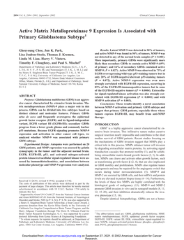 Active Matrix Metalloproteinase 9 Expression Is Associated with Primary Glioblastoma Subtype1