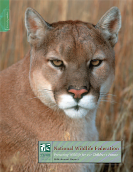 2004 Annual Report Protecting Wildlife for Our Children’S Future National Wildlifefederation Board of Directors Endowment Trustees