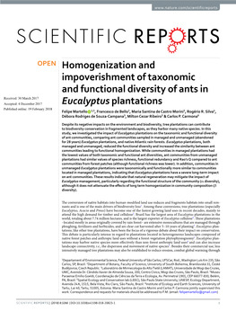 Homogenization and Impoverishment of Taxonomic and Functional Diversity of Ants in Eucalyptus Plantations