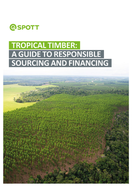 Tropical Timber: a Guide to Responsible Sourcing and Financing
