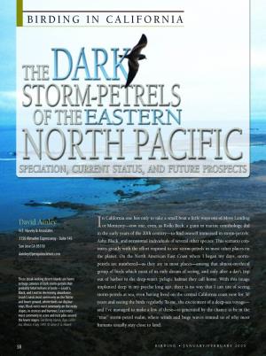 The Dark Storm-Petrels of the Eastern North Pacific ~ Birding