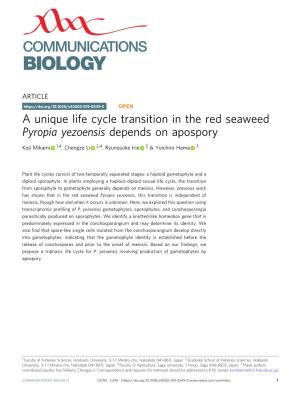 A Unique Life Cycle Transition in the Red Seaweed Pyropia Yezoensis Depends on Apospory