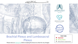 4-Brachial Plexus and Lumbosacral Plexus (Edited).Pdf
