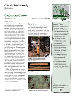 Cytospora Canker Fact Sheet No