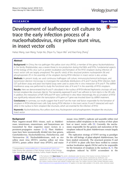 Development of Leafhopper Cell Culture to Trace the Early Infection Process of a Nucleorhabdovirus, Rice Yellow Stunt Virus, In