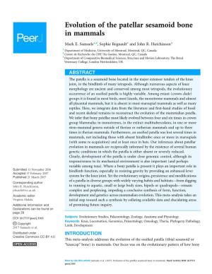 Evolution of the Patellar Sesamoid Bone in Mammals