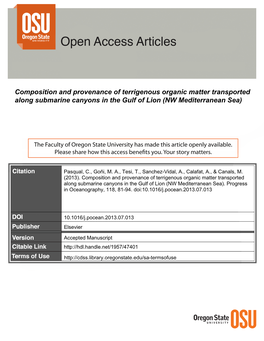 Composition and Provenance of Terrigenous Organic Matter Transported Along Submarine Canyons in the Gulf of Lion (NW Mediterranean Sea)