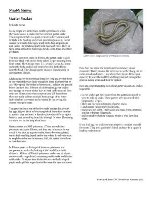 Garter Snakes by Linda Novak