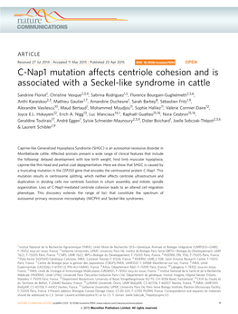 C-Nap1 Mutation Affects Centriole Cohesion and Is Associated with a Seckel-Like Syndrome in Cattle