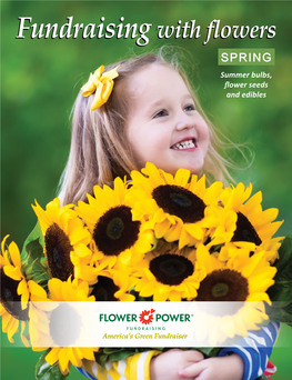 Spring Catalog