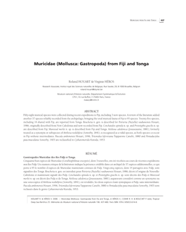 Muricidae (Mollusca: Gastropoda) from Fiji and Tonga