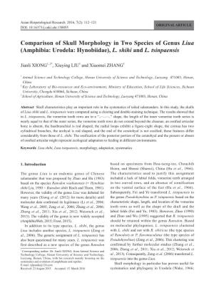Comparison of Skull Morphology in Two Species of Genus Liua (Amphibia: Urodela: Hynobiidae), L