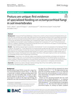 First Evidence of Specialized Feeding on Ectomycorrhizal