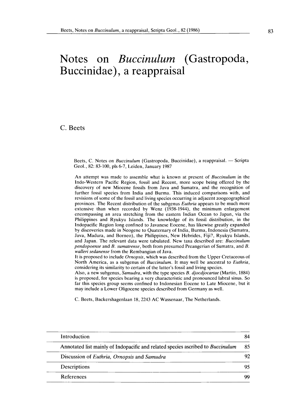 Gastropoda, Buccinidae), a Reappraisal