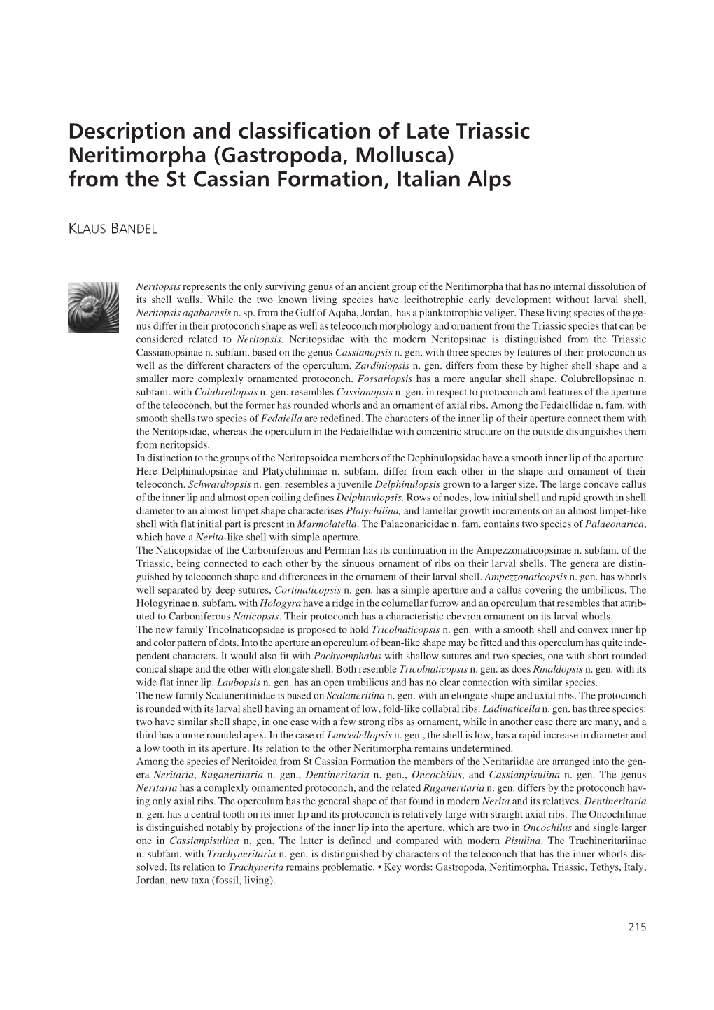 Description and Classification of Late Triassic Neritimorpha (Gastropoda, Mollusca) from the St Cassian Formation, Italian Alps