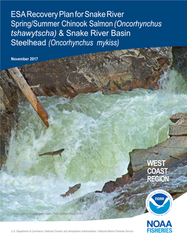 ESA Recovery Plan for Snake River Spring/Summer Chinook Salmon (Oncorhynchus Tshawytscha) & Snake River Basin Steelhead (Oncorhynchus Mykiss)