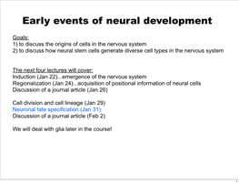 Early Events of Neural Development