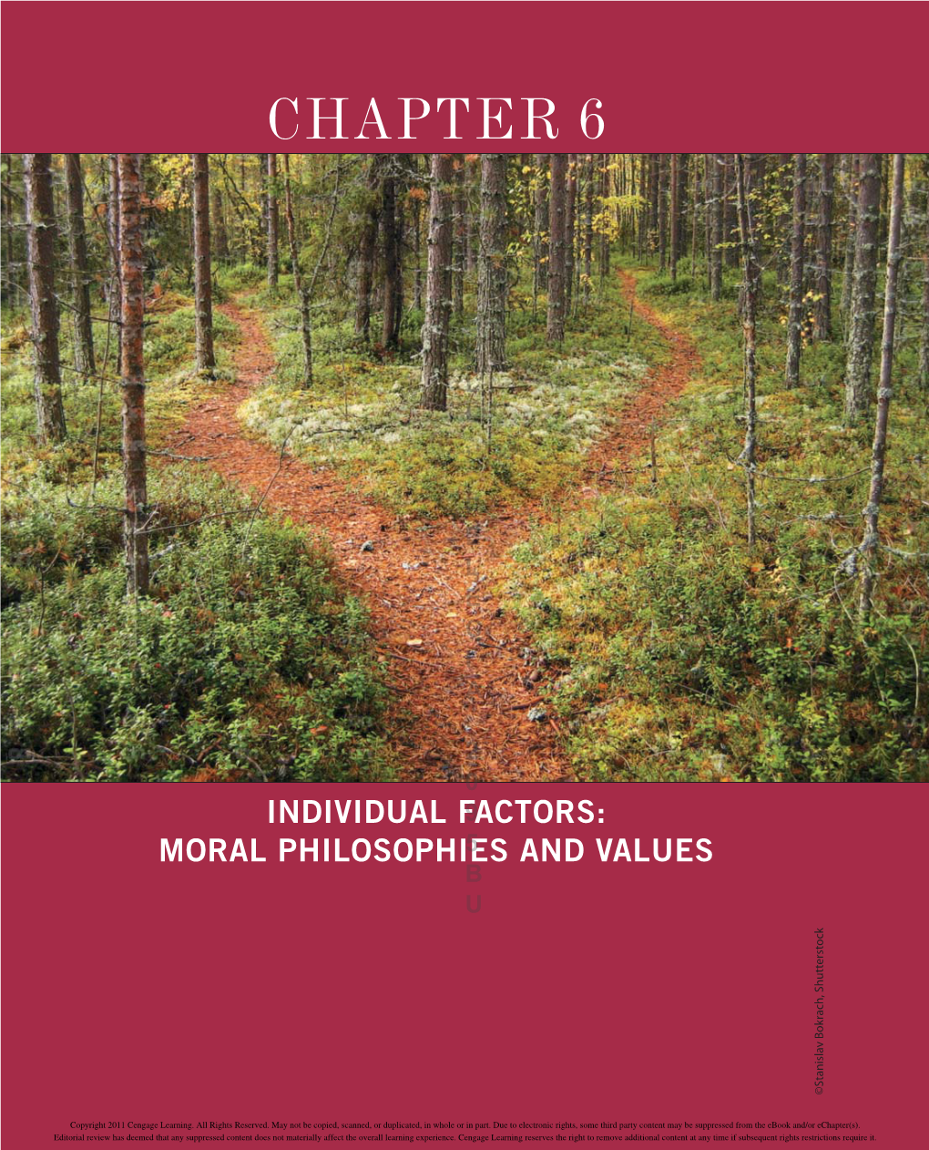 Individual Factors: Moral Philosophies and Values 153