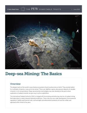 Deep-Sea Mining: the Basics