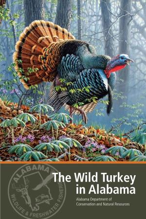 The Wild Turkey in Alabama
